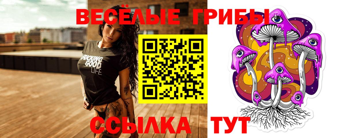 Галлюциногенные грибы Psilocybe Гай