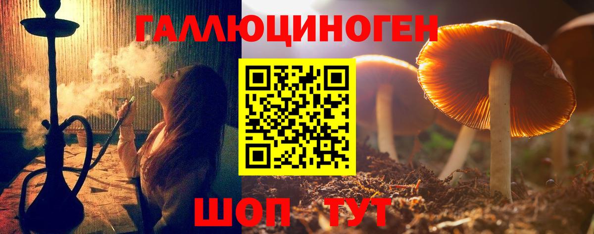 Псилоцибиновые грибы ЛСД  Галлюциногенные грибы Psilocybe  Вход с VPN  Гай 