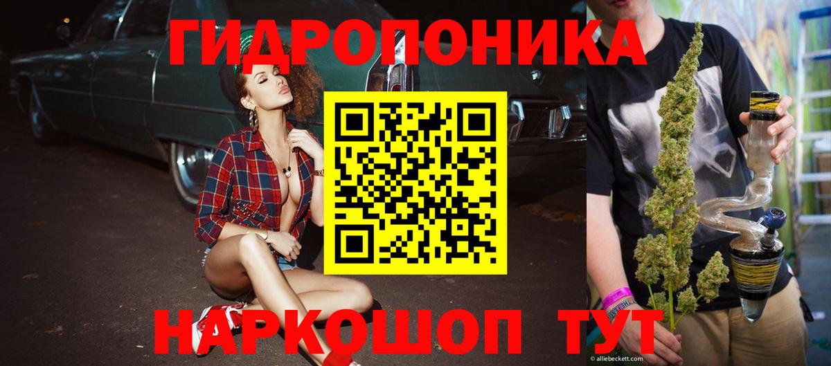 Марихуана гибрид Гай